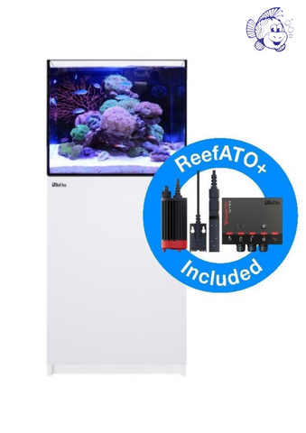 Red Sea Reefer 170 G2+ meuble blanc
