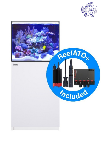 Red Sea Reefer 200 G2+ meuble blanc