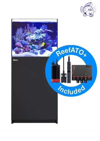 Red Sea Reefer 200 G2+ meuble noir