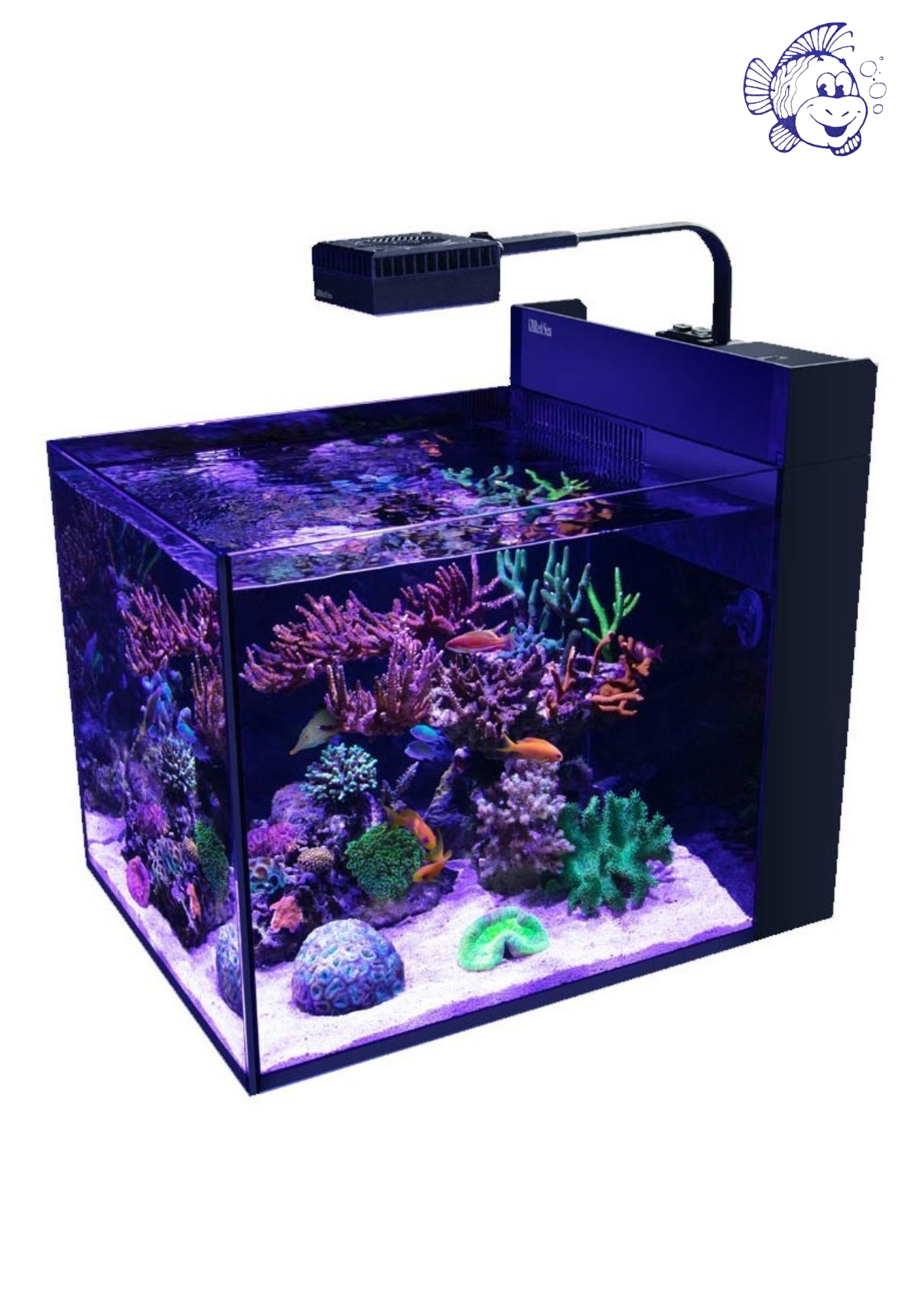 RED SEA MAX NANO PENINSULA- AQUARIUM 100 L