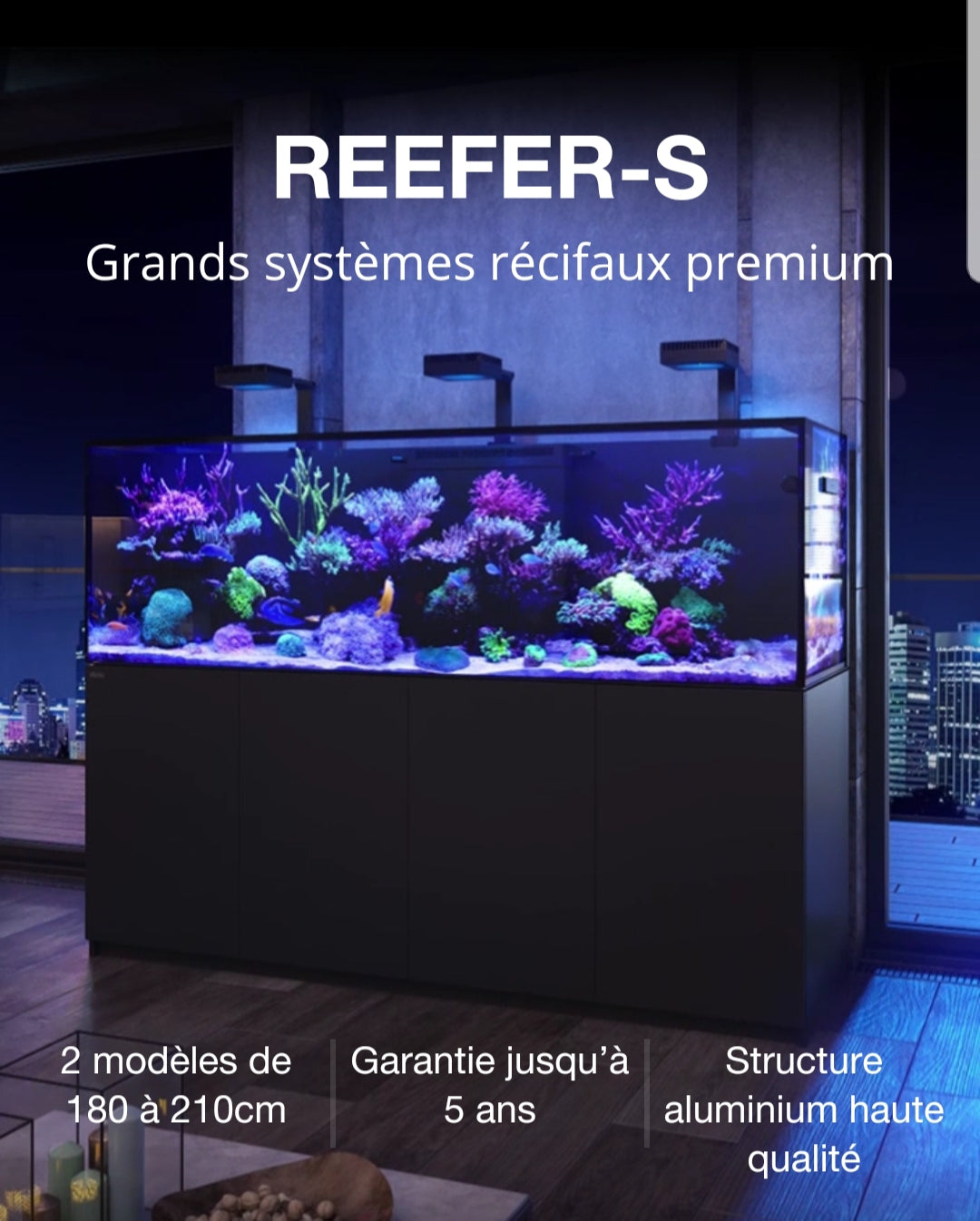 Reefer s 1000